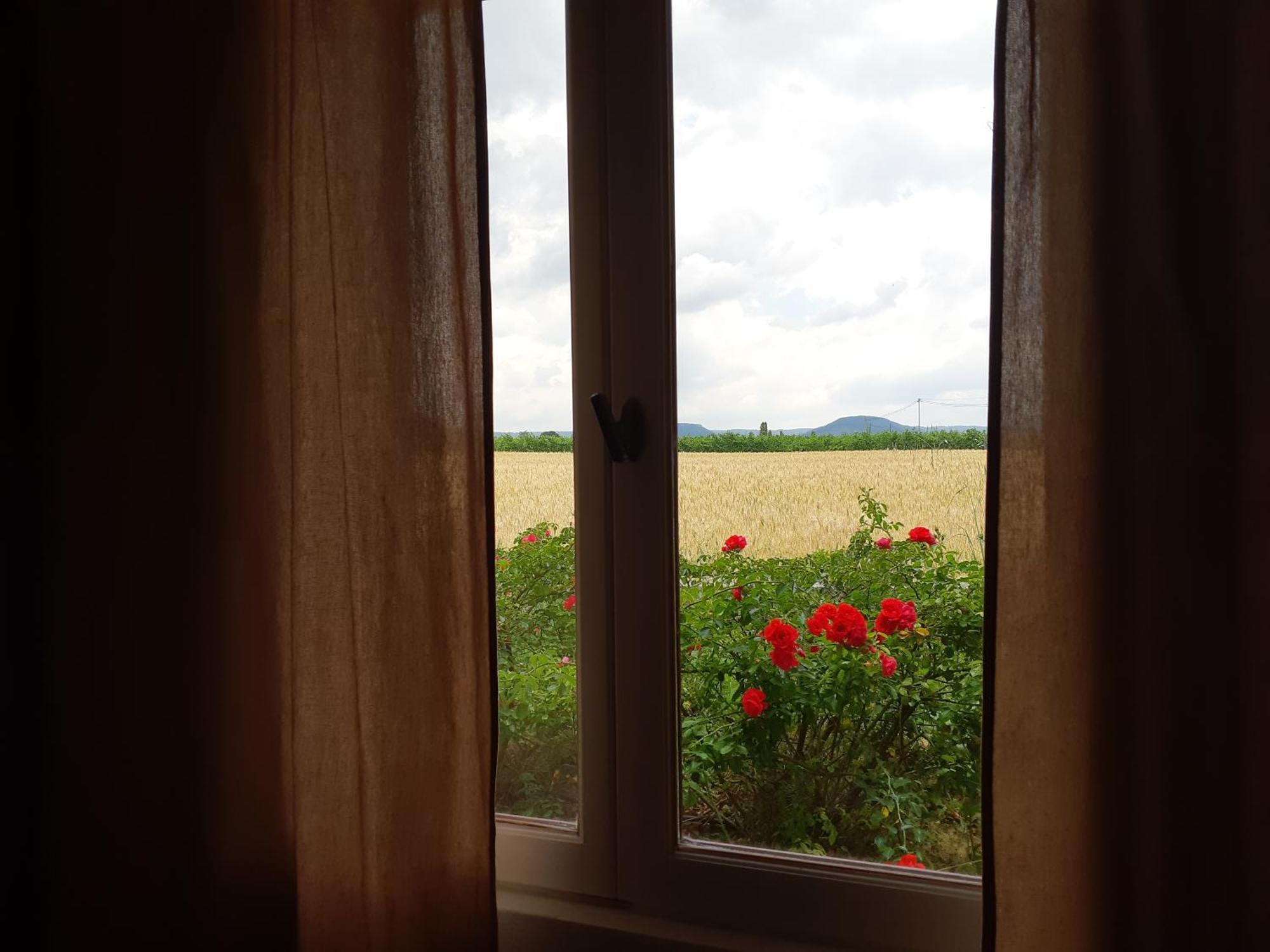 Chambres D'Hotes, B&B La Musardiere Alba-la-Romaine エクステリア 写真